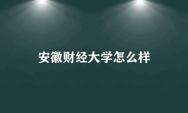 安徽财经大学怎么样
