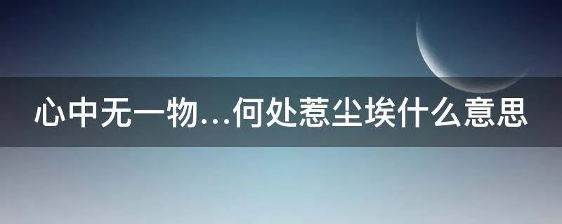 心中无一物…何处惹尘埃什么意思