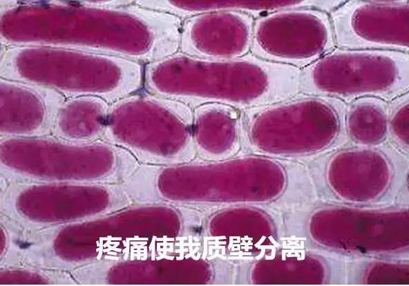 为什么说第一批90后的胃已经垮了？