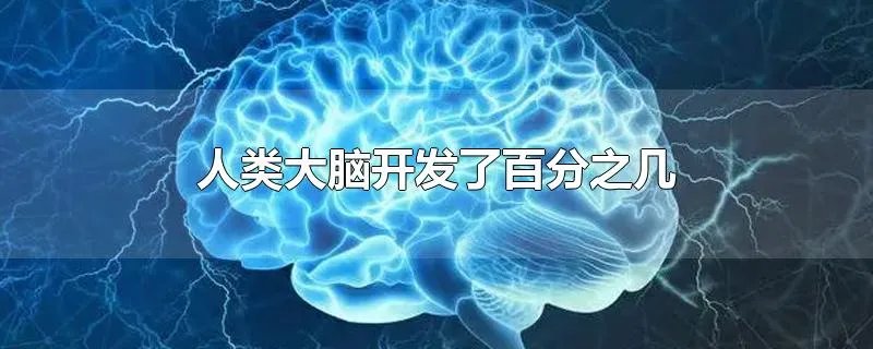 人类大脑开发了百分之几