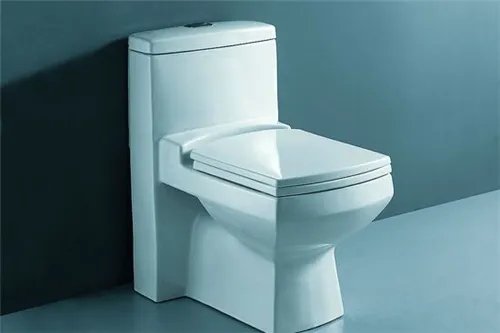 抽水马桶被硬物堵了怎么办