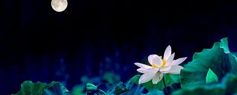 梦到日月同辉预示着什么 梦到日月同辉是吉利的表现吗