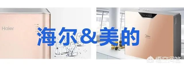 真正的高端净水器品牌有哪几个？什么样的好？