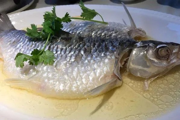 世界上最贵的十种鱼 波纹唇鱼上榜，第七被誉为“冰海之皇”