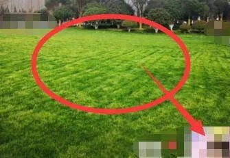 朋友圈背景图怎么保存