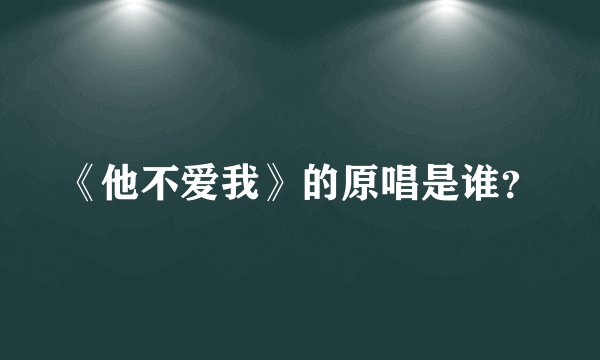 《他不爱我》的原唱是谁？