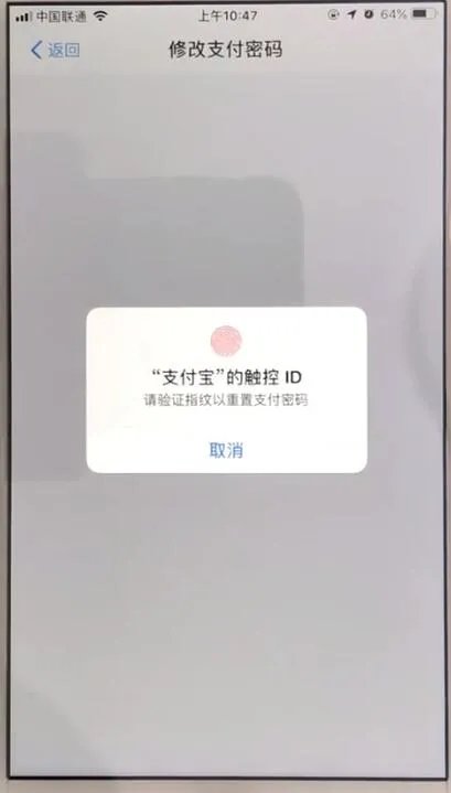 支付宝密码忘记了怎么办