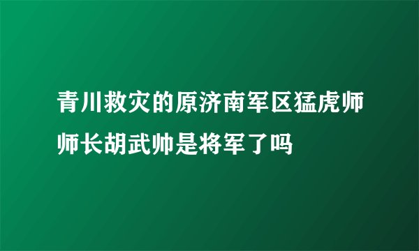 青川救灾的原济南军区猛虎师师长胡武帅是将军了吗