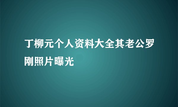 丁柳元个人资料大全其老公罗刚照片曝光