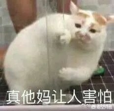 刺激战场有什么辅助？