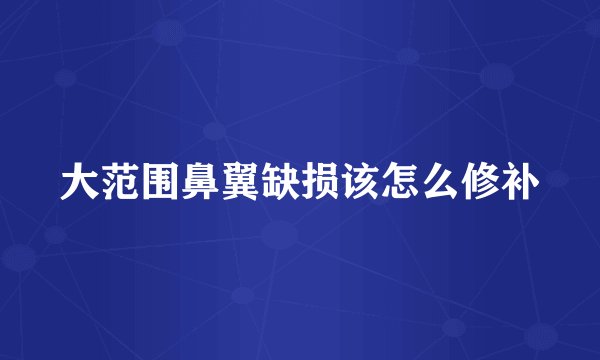 大范围鼻翼缺损该怎么修补