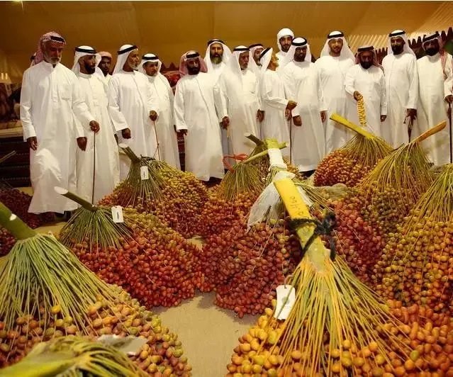 吃过这些水果的都是土豪，小编才第一次见识