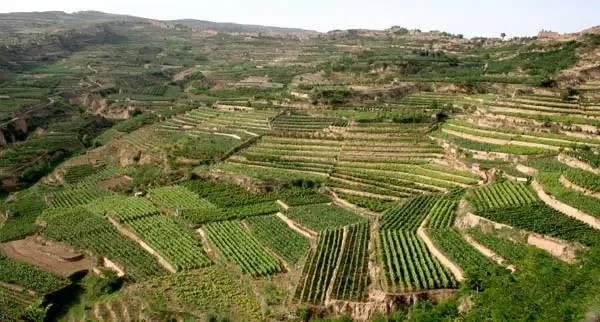 农村土地三权分置是什么意思