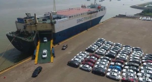 天津港处处都是豪车，真去买车会不会被骗？