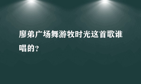 廖弟广场舞游牧时光这首歌谁唱的？
