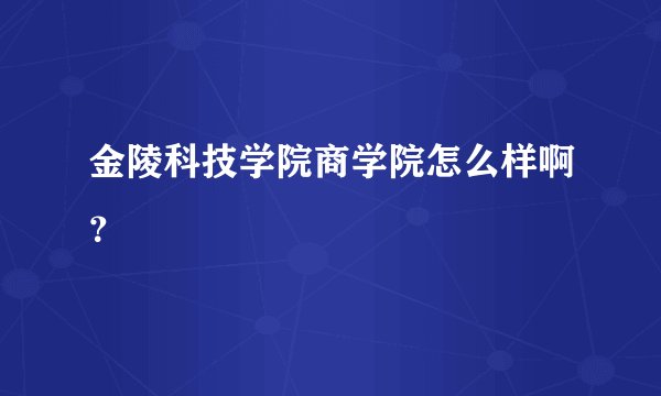 金陵科技学院商学院怎么样啊？