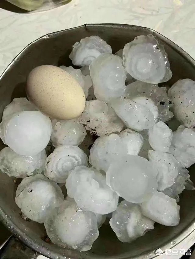 山东，四川等地有冰雹，对农作物损害非常大，你怎么看？