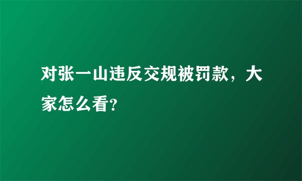 对张一山违反交规被罚款，大家怎么看？