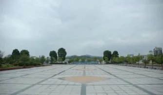 全国今日高速将迎拥堵高峰,出行选择哪种方式最为合理?