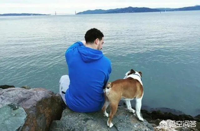 克莱汤普森特点