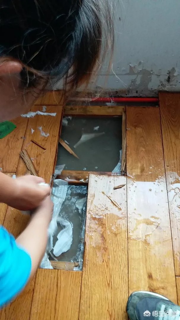 真正的高端净水器品牌有哪几个？什么样的好？