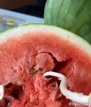 女子切开西瓜竟然在里面发现了黄豆芽，这西瓜还能不能吃呢？