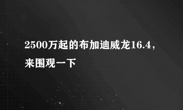 2500万起的布加迪威龙16.4，来围观一下