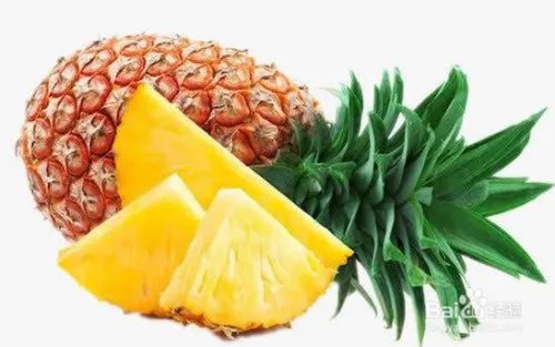 菠萝的拼音怎么拼写