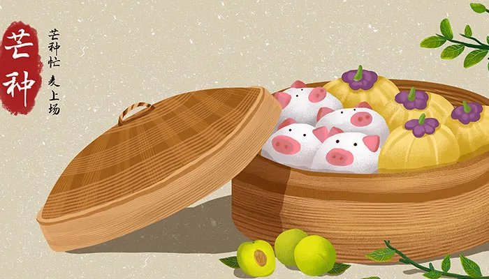 芒种节气吃什么