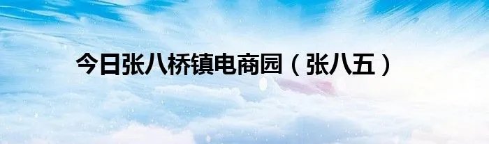 今日张八桥镇电商园（张八五）