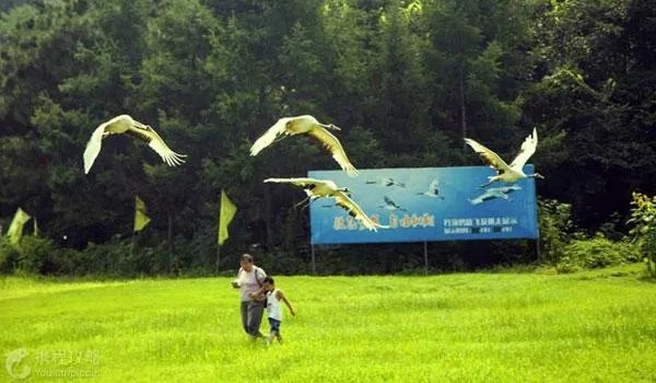 去沈阳自驾游，有哪些景点不容错过？