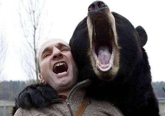 吉林一男子遭黑熊撕咬靠装死逃生，遇到黑熊，你还知道哪些逃生的办法？