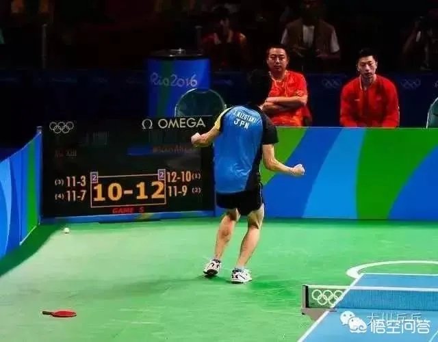 卡塔尔公开赛,水谷隼说中国选手不可怕,扬言要击败樊振东,你怎么看?