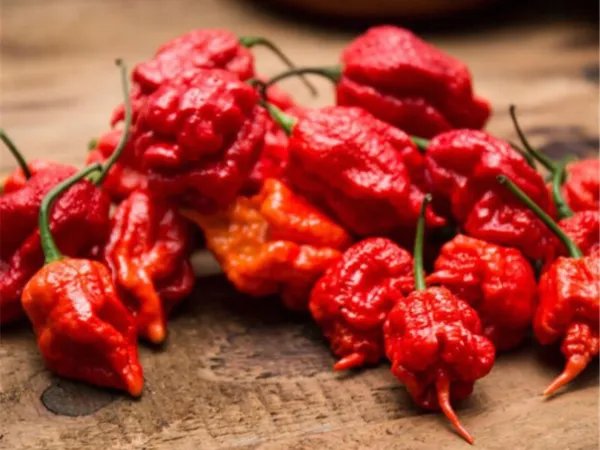 世界上最辣的辣椒