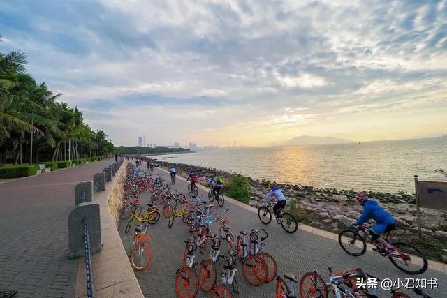 深圳哪些公园比较好玩？有何攻略？