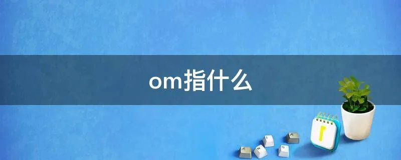 om指什么