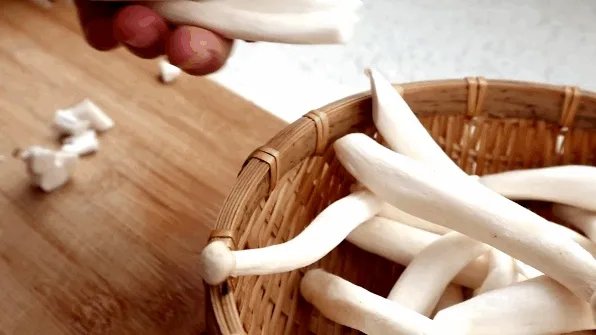 金海菇到底是什么