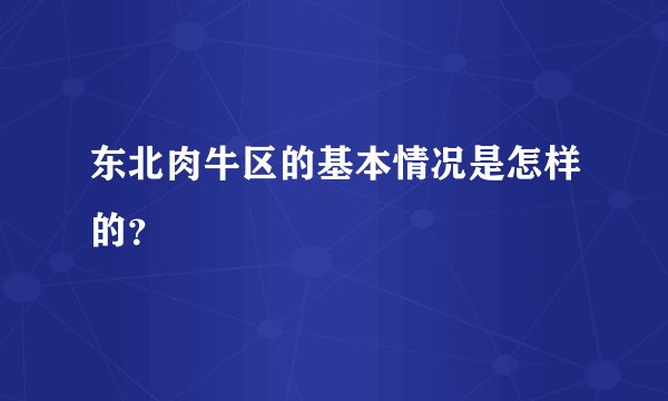东北肉牛区的基本情况是怎样的？