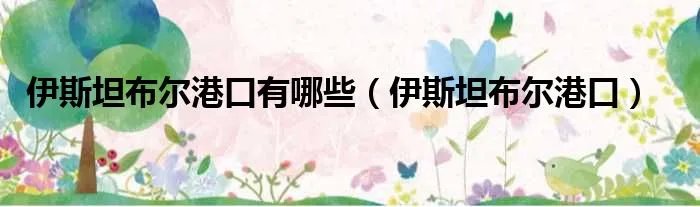 伊斯坦布尔港口有哪些（伊斯坦布尔港口）