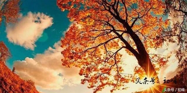 暑去秋来凉风至，稻黄果香丰收时；下句怎么接？