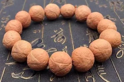 菩提子有哪些种类？菩提子种类大全图片介绍！