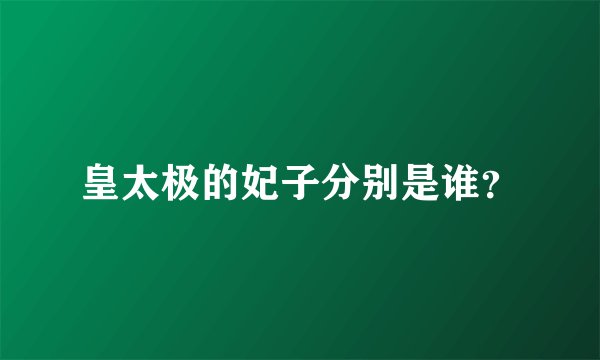皇太极的妃子分别是谁？