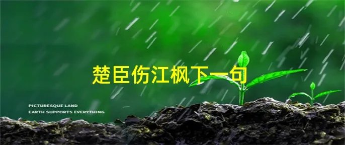 楚臣伤江枫下一句