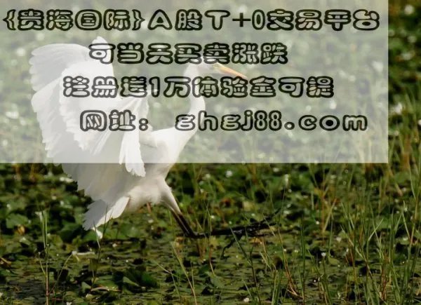 300076是哪个板块股票