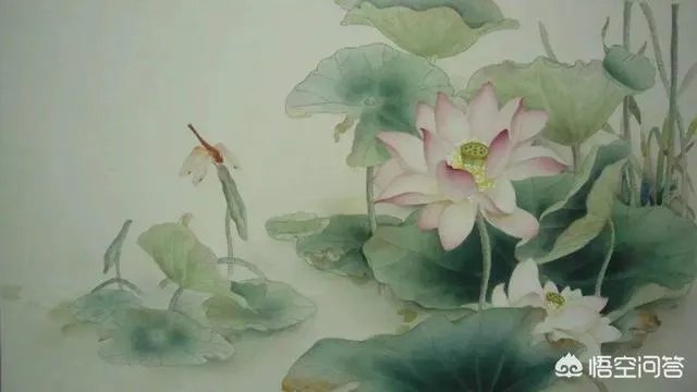 古诗《小池》里晴柔是什么意思?