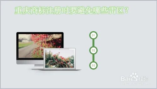 个人怎么进行重庆商标注册