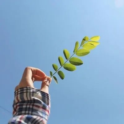 2018最时尚的微信图片