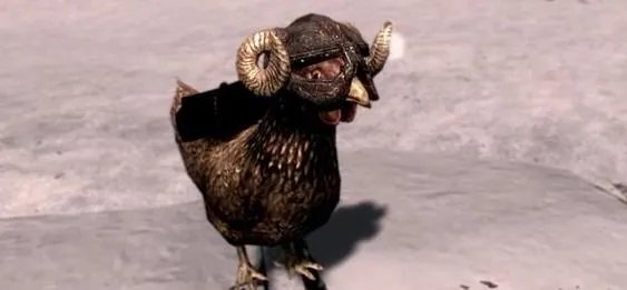 上古5杀鸡要偿命 哀悼游戏中各种悲催受虐的鸡