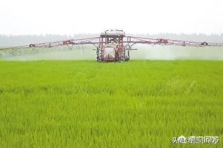 未来我国农机化发展趋势是怎样的？