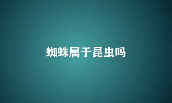 蜘蛛属于昆虫吗